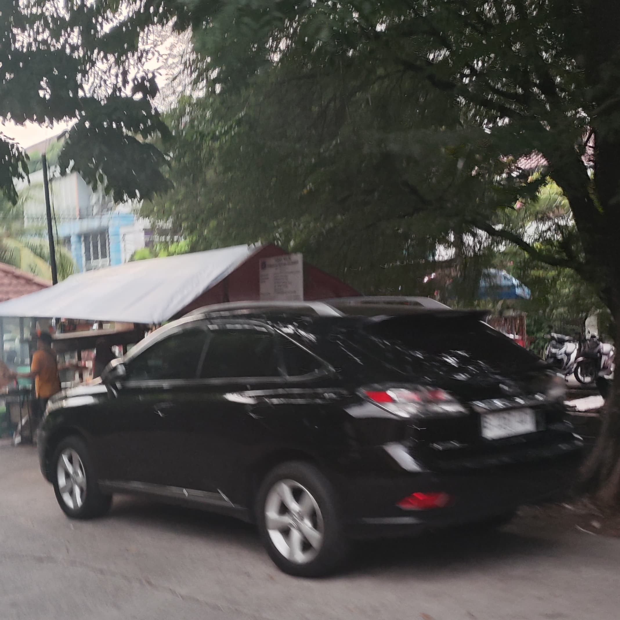 LEXUS RX — photo 1
