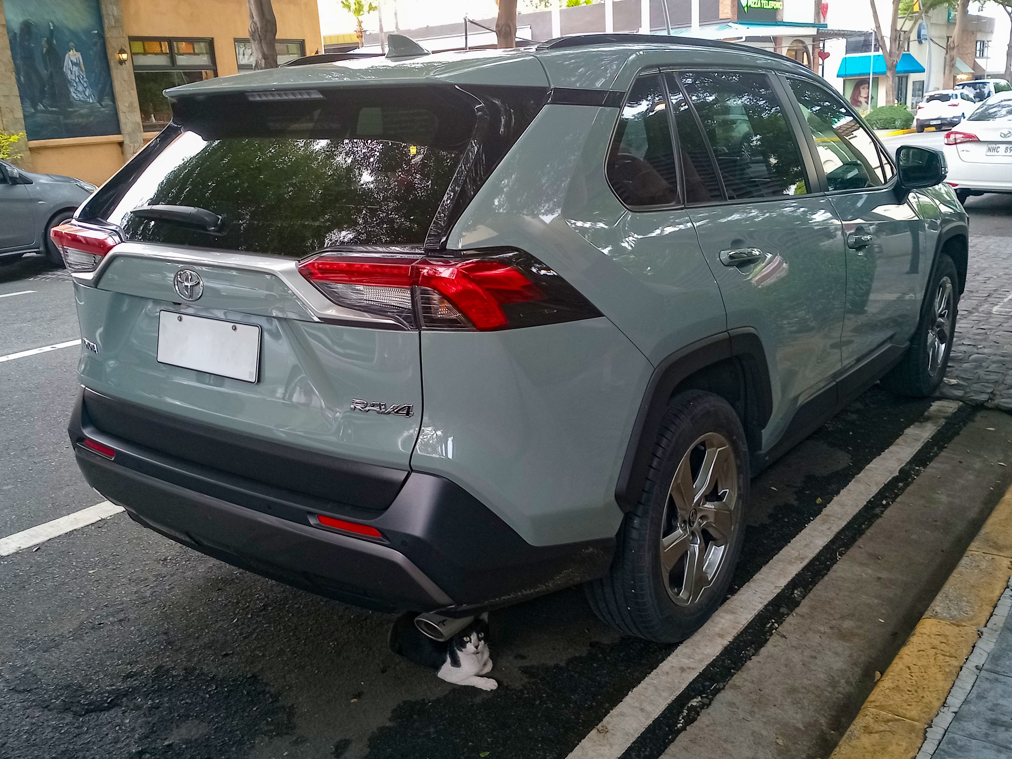TOYOTA RAV 4 — photo 2