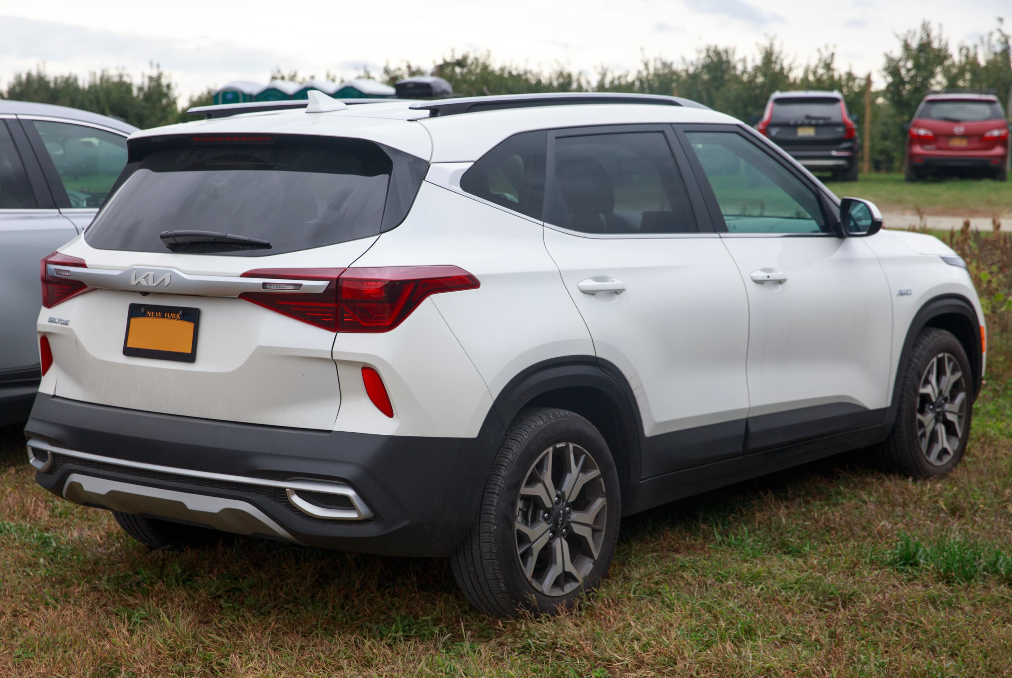KIA Seltos — photo 3