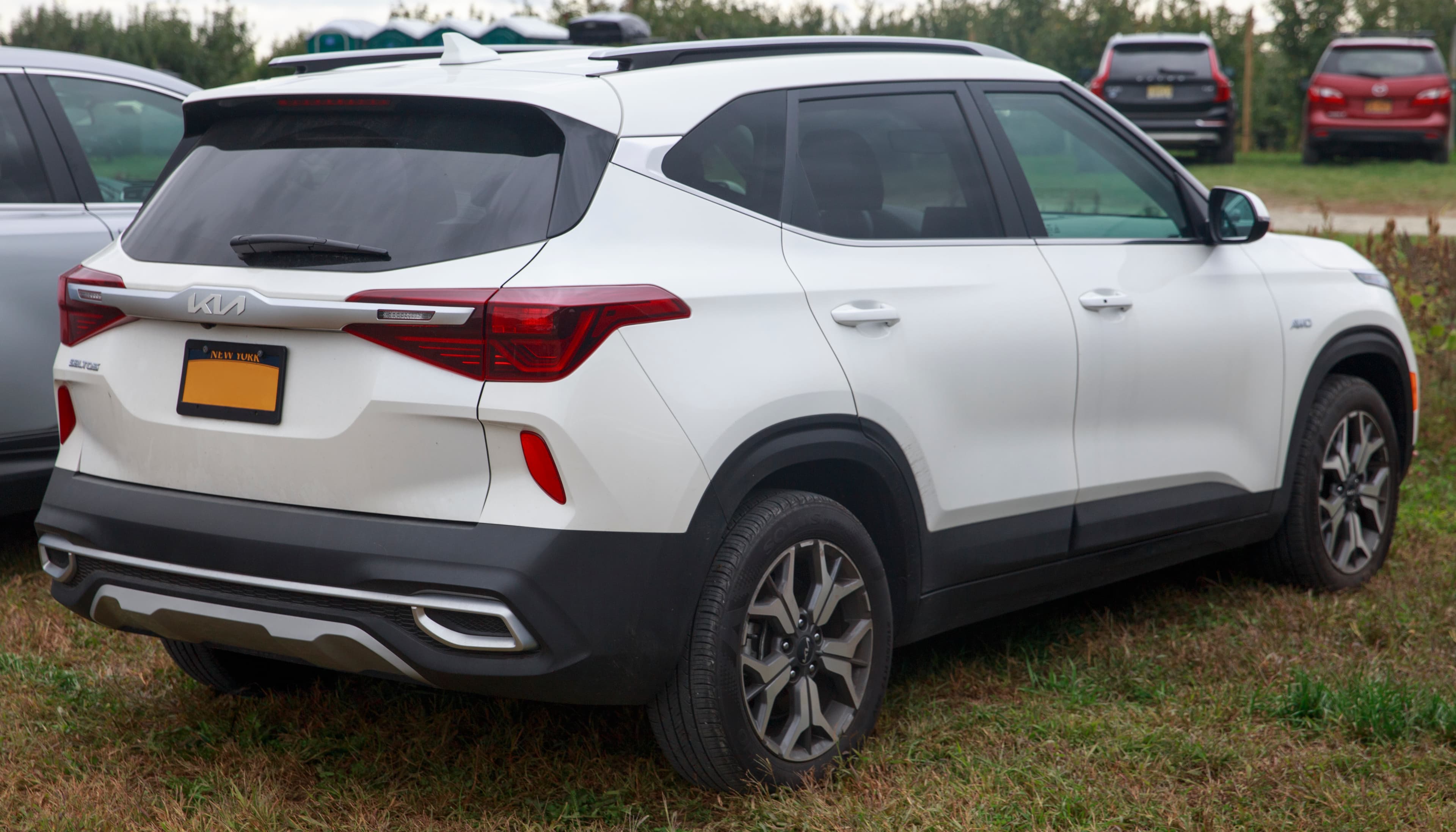 KIA Seltos — photo 4