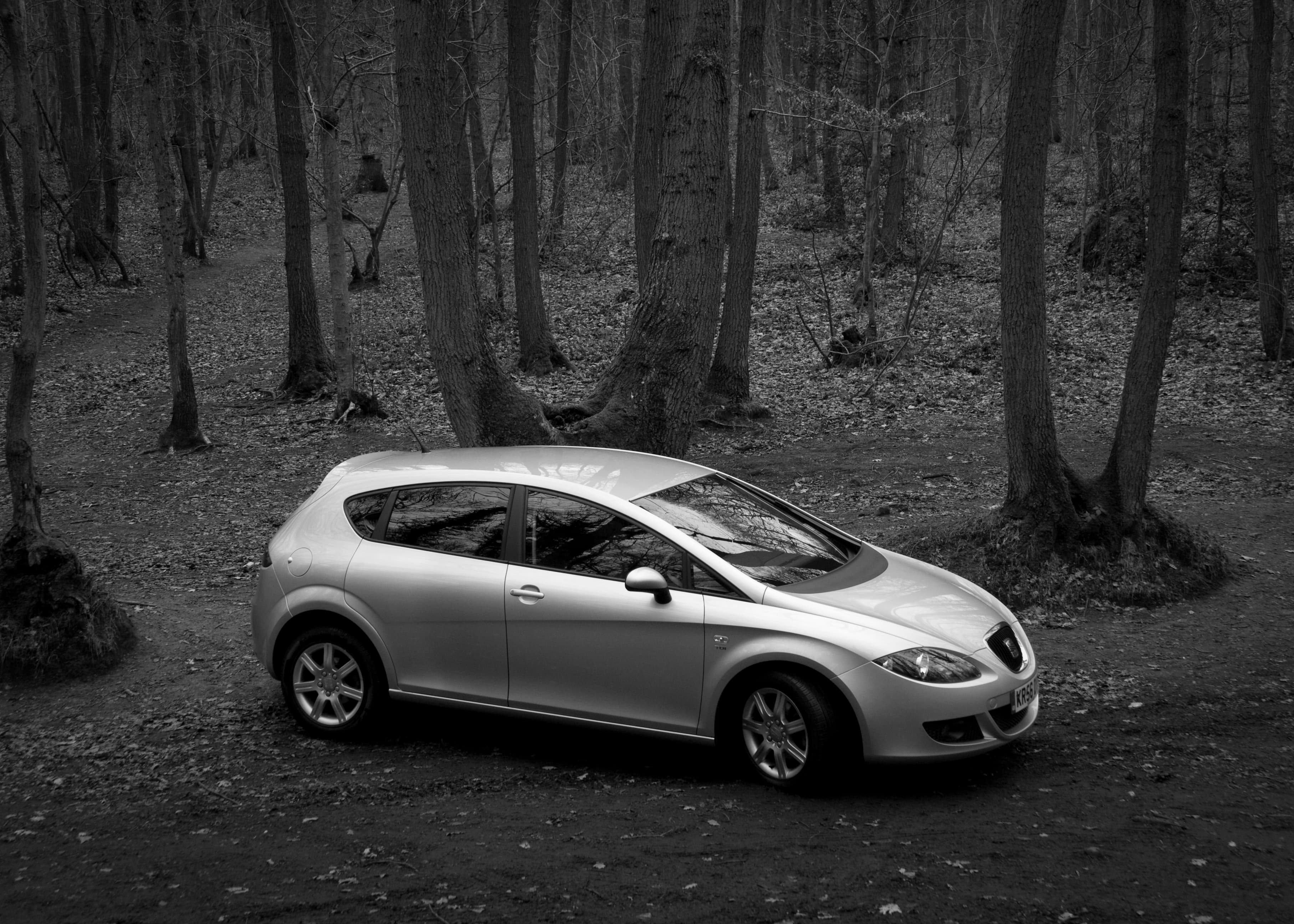 SEAT Leon — photo 1